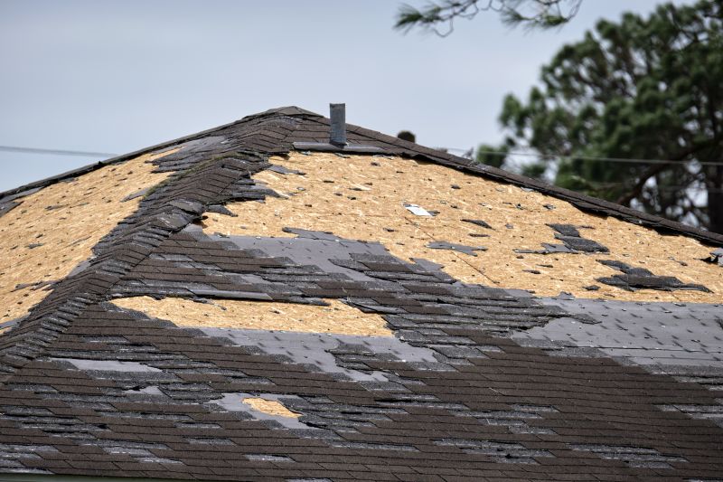 Roof Repair Close-up